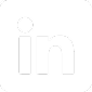 Ikon för sociala medier (www.linkedin.com)
